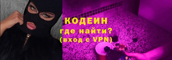 ГАЛЛЮЦИНОГЕННЫЕ ГРИБЫ Ладушкин