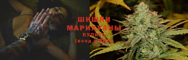 ГАЛЛЮЦИНОГЕННЫЕ ГРИБЫ Кулебаки