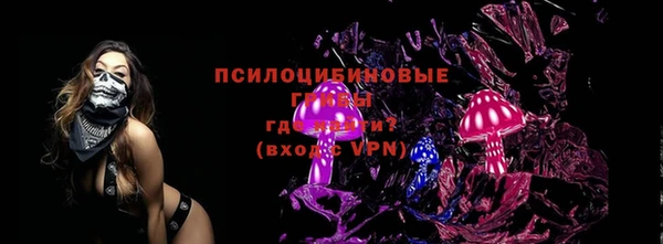 МДПВ Лиски