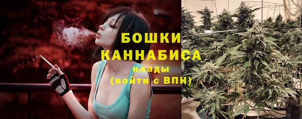 ГАЛЛЮЦИНОГЕННЫЕ ГРИБЫ Ладушкин