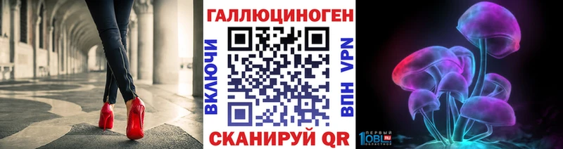 хочу наркоту  Лабытнанги  Галлюциногенные грибы Psilocybine cubensis 