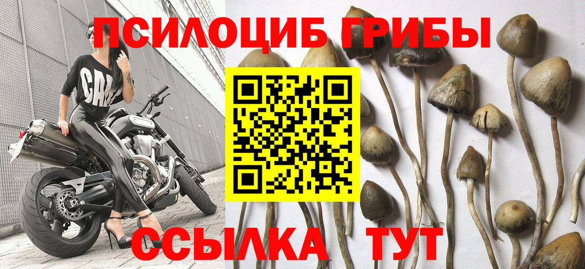 Псилоцибиновые грибы Magic Shrooms Лабытнанги